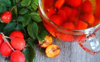 A fényes levelű galagonya (Crataegus × lavallei)