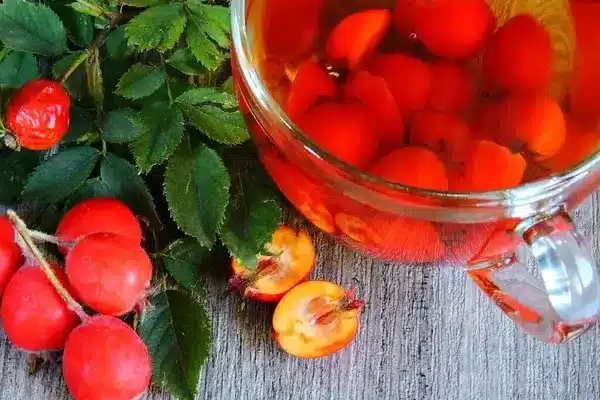 A fényes levelű galagonya (Crataegus × lavallei)