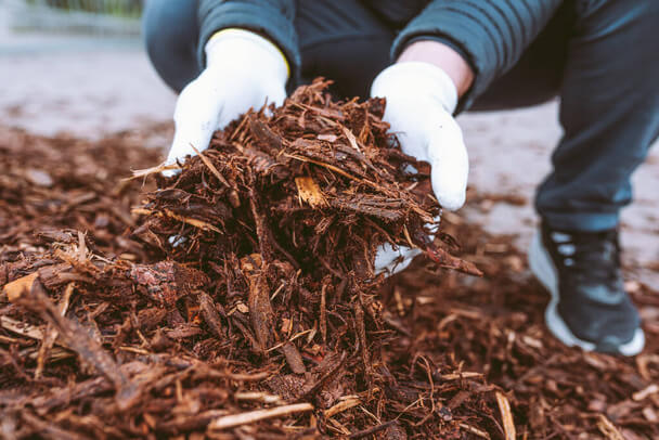 Hogyan javíthatjuk a talajt az őszi kertészethez? 