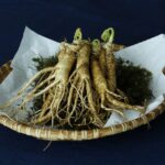 Ginseng (Panax) gyógynövény