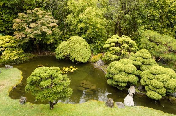  tletek A D szf k s Cserj k Tervez s hez Kezd Kert sz