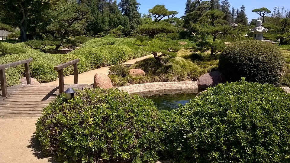 Japánkert