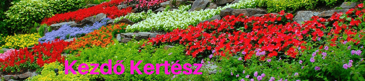 Kezdő Kertész logó -Kert, kertész, kertészkedés, kertépítés, kerti növények, kerti virágok, évelő növények, évelő virágok.