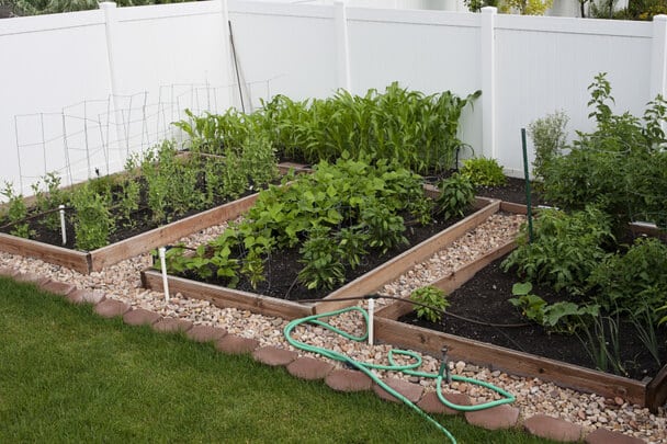 Hogyan alakíthatjuk át kertünket konyhakertté?