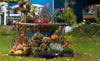 Kreatív őszi kerti dekorációk és ötletek