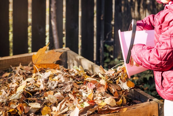 Levélkomposztálás: Őszi levelek hasznosítása