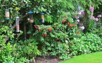 Madáretetők a kerben kerti madaraknak