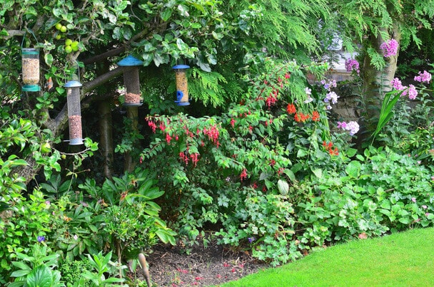 Madáretetők a kertben kerti madaraknak