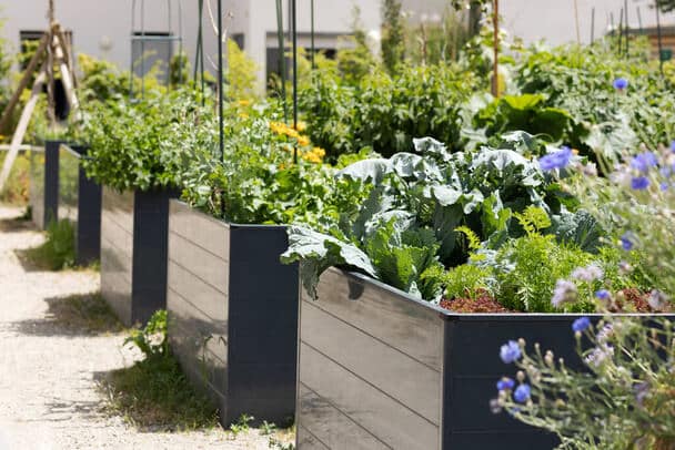 Magaságyás téliesítése: Tippek a kertészeknek a hideg hónapokra