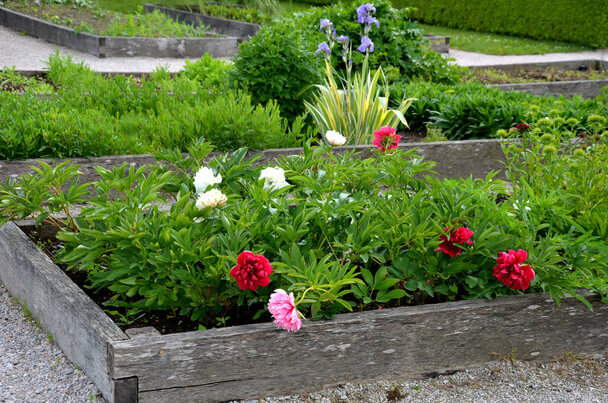 Magaságyás virágoskert: Varázslatos színkavalkád a kertben
