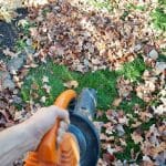 Az őszi kertápolás fontossága és előnyei