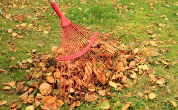 Gyakori hibák az őszi kertészkedés során és hogyan kerülhetők el