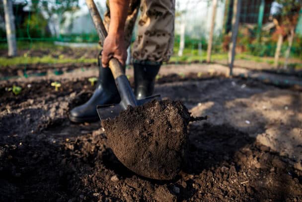 Hogyan javíthatjuk a talajt az őszi kertészethez? 