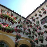 Patiok, Andalúzia virágoskertjei