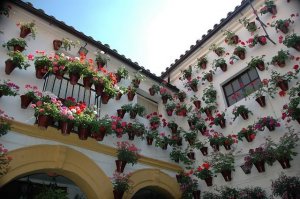 Patiok, Andalúzia virágoskertjei