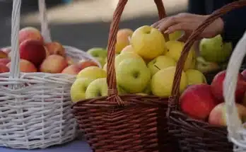 Így tárold a terméseidet egész télen almától a sütőtökig