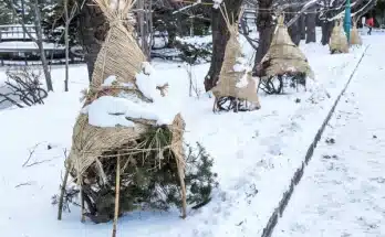 Hó mint természetes takaró a téli csapadék szerepe a kert ökológiájában