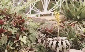 Hogyan készüljön fel a kerted a télre 10 lépésben a fagy ellen