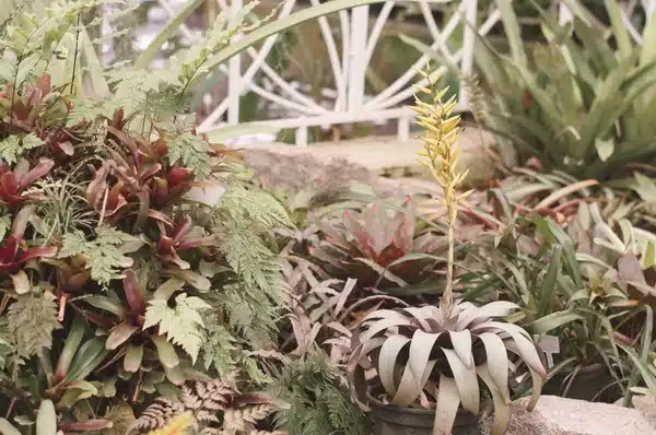 Hogyan készüljön fel a kerted a télre 10 lépésben a fagy ellen