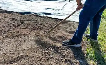 Tervezz virágzó tavaszt – hogyan készítsd elő az ágyásokat télen