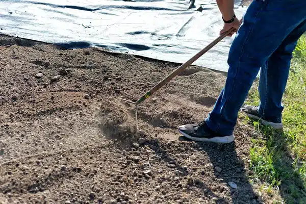 Tervezz virágzó tavaszt – hogyan készítsd elő az ágyásokat télen