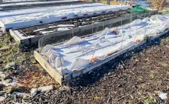 Zero waste kert télen újrahasznosított anyagok a fagyos hónapokban