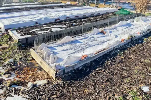 Zero waste kert télen újrahasznosított anyagok a fagyos hónapokban