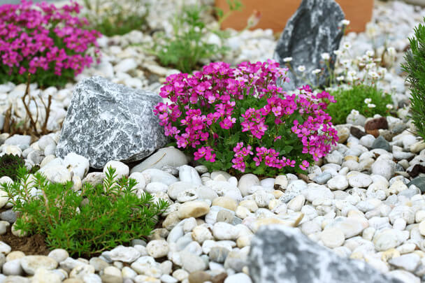 Hogyan válasszunk megfelelő helyet a sziklakertnek a kertünkben?