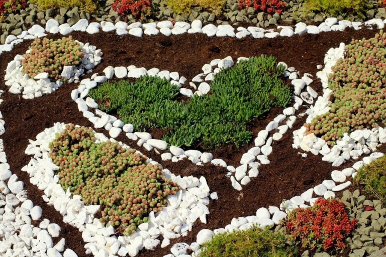 Mikor ültessünk sziklakerti növényeket?