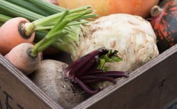 Téli zöldségkert: milyen zöldségeket lehet termeszteni télen?