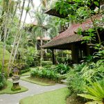 Tropikális kertépítészet: Alapelvek és ötletek
