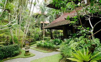 Tropikális kertépítészet: Alapelvek és ötletek